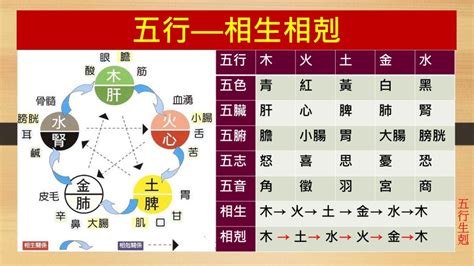 五行相生剋|簡單明了，圖解五行相生相剋